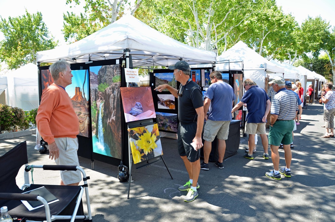 Arts in the Plaza 2016